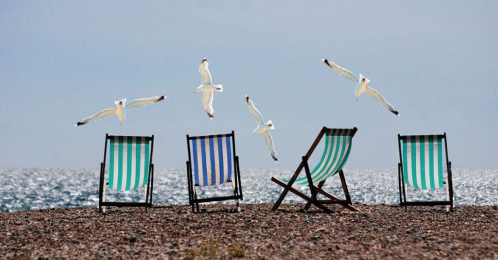 beach chairs with sea gulls on the beach.