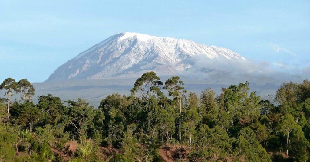 Kilimanjaro