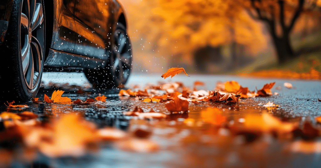 a black car on a wet road with autumn leaves on the ground